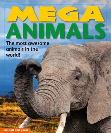 Nina Filipek - Mega Animals, Häftad
