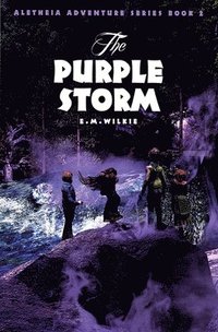 bokomslag Purple Storm