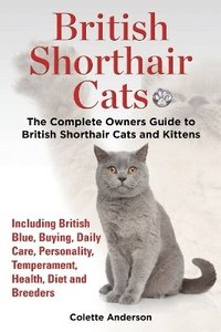 bokomslag British Shorthair Cats, The Complete Owners Guide to British Shorthair Cats and Kittens Including British Blue, Buying, Daily Care, Personality, Temperament, Health, Diet and Breeders
