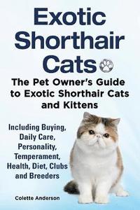bokomslag Exotic Shorthair Cats The Pet Owner's Guide to Exotic Shorthair Cats and Kittens Including Buying, Daily Care, Personality, Temperament, Health, Diet, Clubs and Breeders