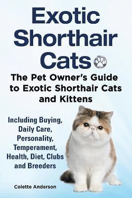 Exotic Shorthair Cats The Pet Owner's Guide to Exotic Shorthair Cats and Kittens Including Buying, Daily Care, Personality, Temperament, Health, Diet, Clubs and Breeders 1