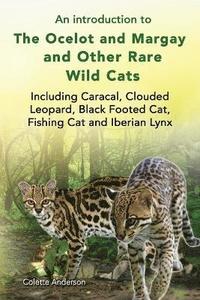 bokomslag An introduction to The Ocelot and Margay and Other Rare Wild Cats Including Caracal, Clouded Leopard, Black Footed Cat, Fishing Cat and Iberian Lynx