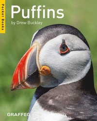 bokomslag Puffins (Pocket Books)