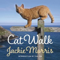 bokomslag Cat Walk