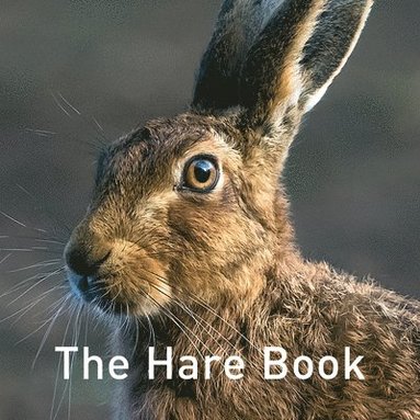 bokomslag Nature Book Series: The Hare Book