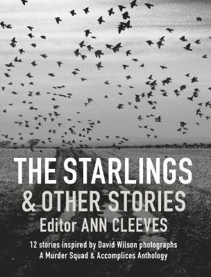 bokomslag Starlings and Other Stories, The