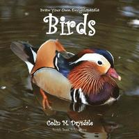 bokomslag Draw Your Own Encyclopaedia Birds