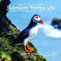 bokomslag Draw Your Own Encyclopaedia Hebridean Marine Life