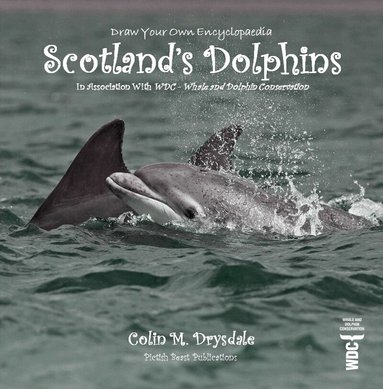 Colin M Drysdale - Draw Your Own Encyclopaedia Scotland's Dolphins, Häftad