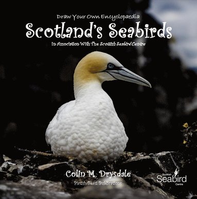 bokomslag Draw Your Own Encyclopaedia Scotland's Seabirds