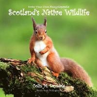 bokomslag Draw Your Own Encyclopaedia Scotland's Native Wildlife