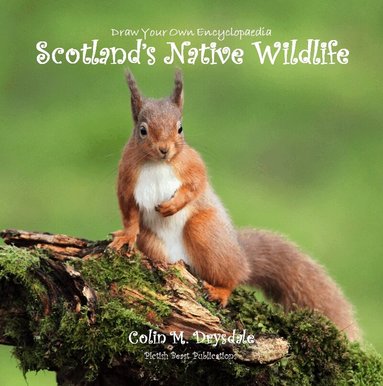 Colin M Drysdale - Draw Your Own Encyclopaedia Scotland's Native Wildlife, Häftad