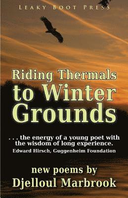 Riding Thermals to Winter Grounds 1