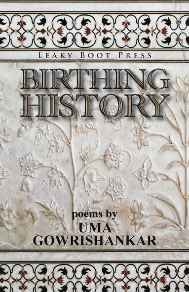 bokomslag Birthing History