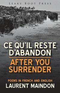 bokomslag After You Surrender / Ce qu'il reste d'abandon (poems in English and French)