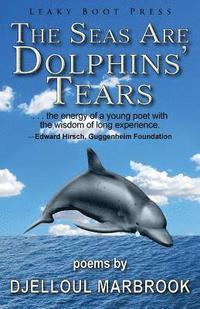 bokomslag The Seas Are Dolphins' Tears