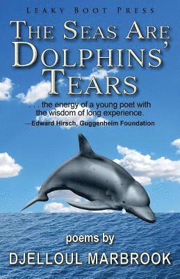 The Seas Are Dolphins' Tears 1