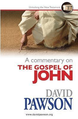 A Commentary on the Gospel of John 1