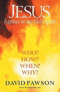 bokomslag Jesus Baptises in one Holy Spirit