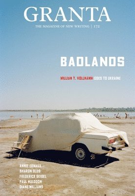 bokomslag Granta 172: Badlands