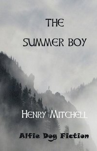 bokomslag The Summer Boy