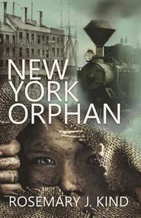 bokomslag New York Orphan