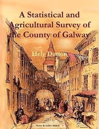 bokomslag A Statistical and Agricultural Survey of the County of Galway