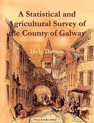 bokomslag Statistical and Agricultural Survey of the County of Galway
