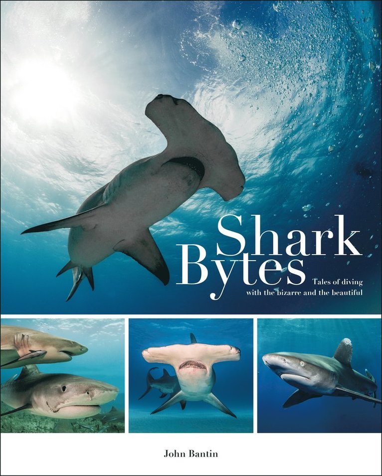 John Bantin - Shark Bytes, Häftad