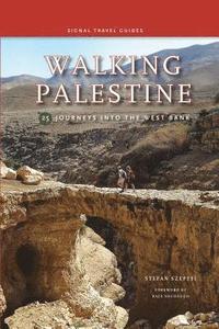 bokomslag Walking Palestine