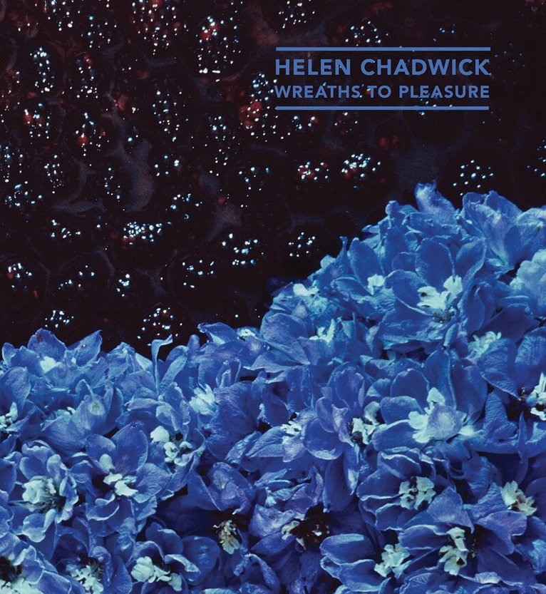 David Notarias, Sophia Raikes, Marina Warner - Helen Chadwick, Häftad