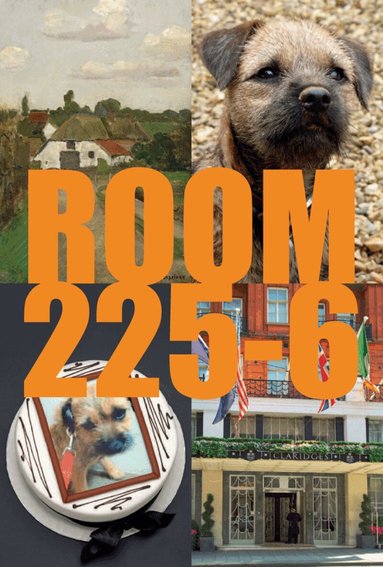 Karsten Schubert - Room 225-6, Häftad