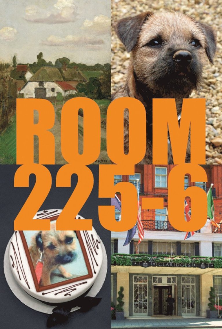 Karsten Schubert - Room 225-6, Häftad