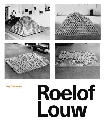 bokomslag Roelof Louw