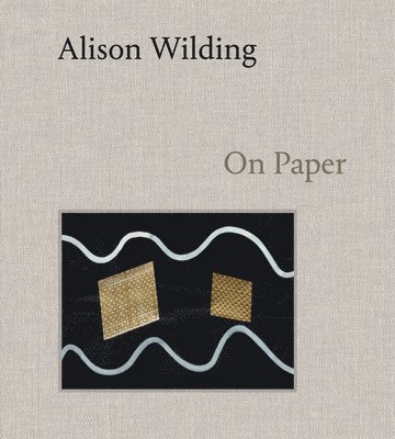 bokomslag Alison Wilding: On Paper