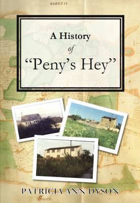 Patricia Dyson - History of "Peny's Hey", Häftad