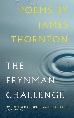 bokomslag Feynman Challenge
