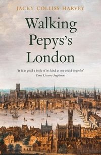 bokomslag Walking Pepys's London