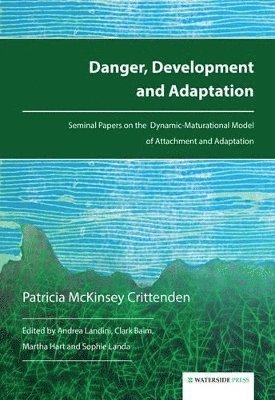 bokomslag Danger, Development And Adaptation