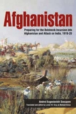 bokomslag Afghanistan