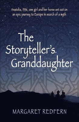 bokomslag Storyteller's Granddaughter