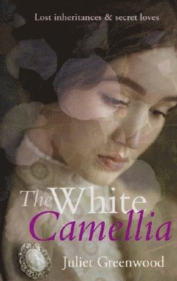 The White Camellia 1