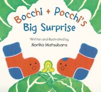 bokomslag Bocchi and Pocchi's Big Surprise
