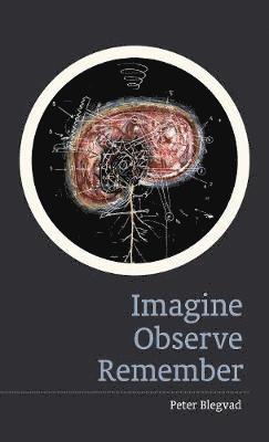 Imagine, Observe, Remember