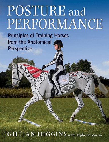 Gillian Higgins, Stephanie Martin - Posture and Performance, Inbunden