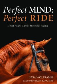 bokomslag Perfect Mind: Perfect Ride