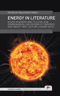 bokomslag Energy in Literature