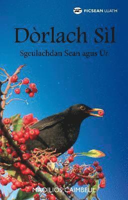 bokomslag Dòrlach Sìl