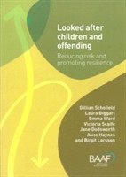 Gillian Schofield, Emma Ward, Jane Dodsworth - Looked After Children and Offending, Häftad