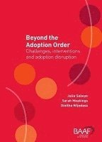 bokomslag Beyond the Adoption Order